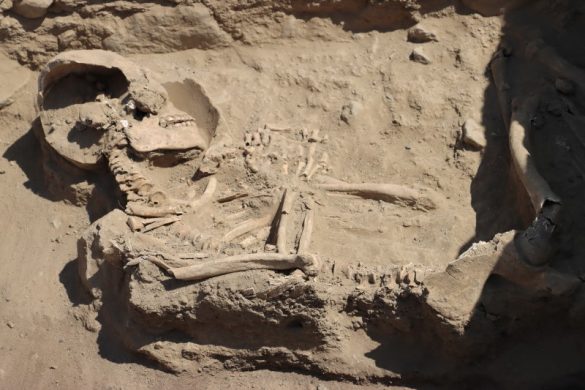 Human remains are pictured after they were discovered by archaeologists at burial sites from around 3,800 years ago, in La Libertad, Peru August 9, 2024. Raquel Velezmoro Malaver/Oficina de Comunicaciones e Imagen Institucional - Universidad Nacional de Trujillo/Handout via REUTERS