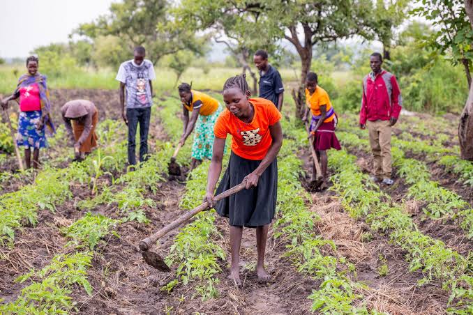 Eswatini Farmers Urged To Maintain Financial Records For Business Success